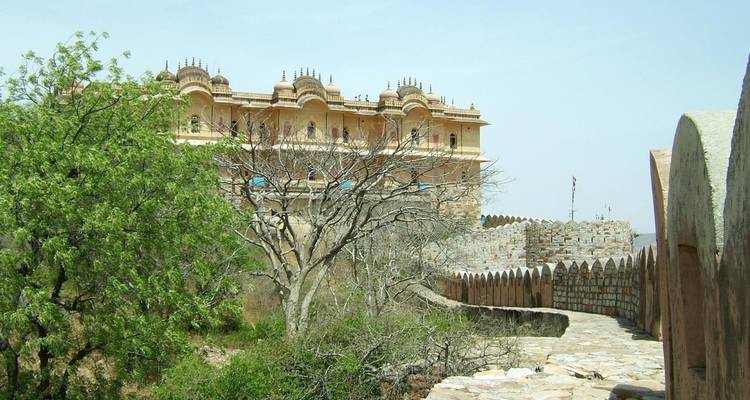 Fort historique et branches d'arbres sèches sur un ciel lumineux.