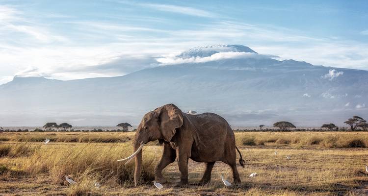 8 Days Climb Kilimanjaro Rongai Route - Africa Outland Safaris 4