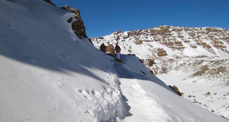 8 Days Kilimanjaro Climb – Lemosho Route - Africa Outland Safaris 1