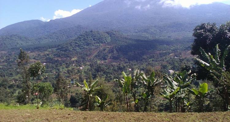 8 Days Kilimanjaro Climb – Lemosho Route - Africa Outland Safaris 4