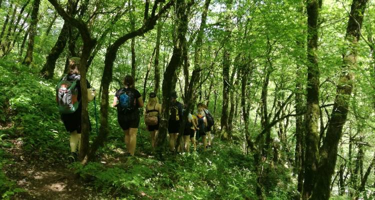 National Park Vikos - Aoos tour. Discover mountains and villages of Northern Greece - Nomadspath 1
