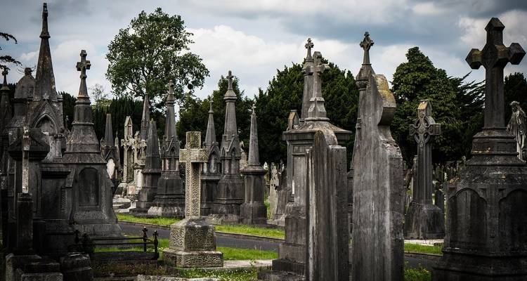 Cementerio con varios tipos de lápidas en un día nublado.