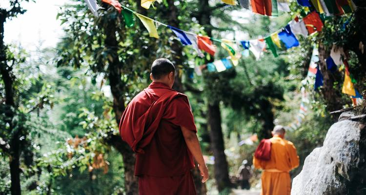 Yoga, Meditación y Sanación Emocional en las estribaciones del Himalaya - World Travel Experiences 8