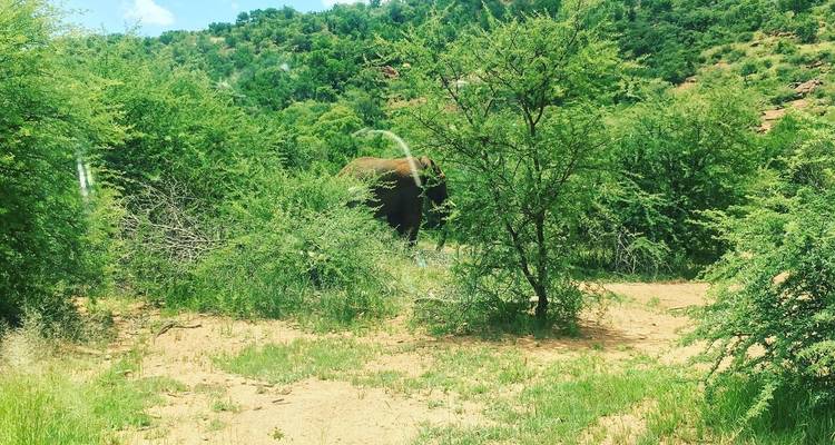 3 jours - Réserve de chasse de Madikwe (luxe) - Timeline Travel DMC 6