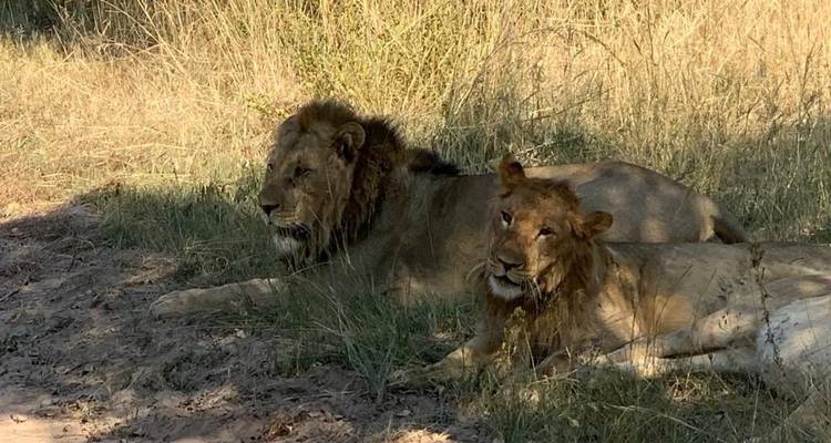 Excursión de 3 días a la Reserva de Caza Dinokeng - Timeline Travel DMC 2
