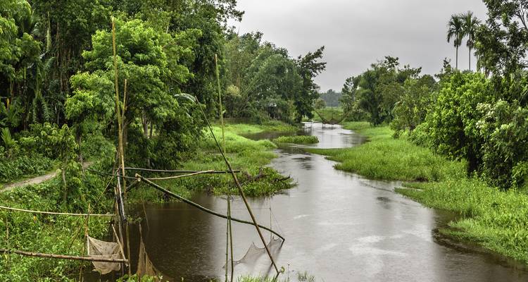 Who Else Wants To Know The Mystery Behind 12 Days Assam Wildlife Tour Packages? - Travel Con 6