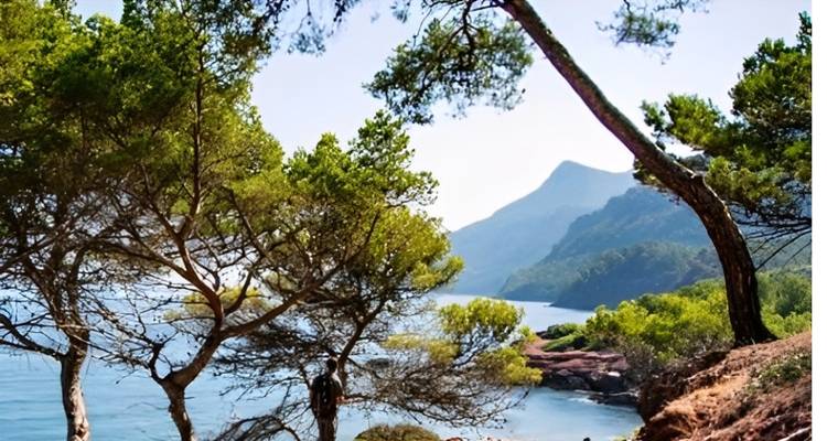 Mallorca: El paraíso del ciclismo - IberoCycle Tours 1