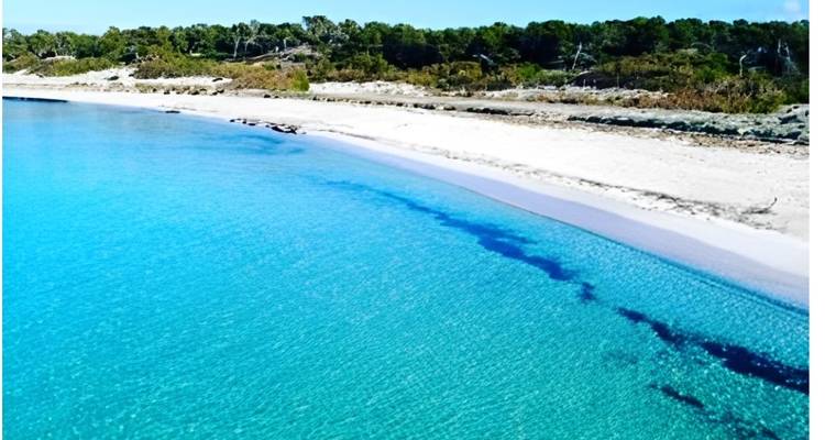 Mallorca: El paraíso del ciclismo - IberoCycle Tours 3