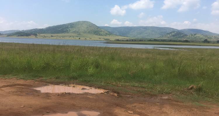 Safari de 4 días a Pilanesberg - Timeline Travel DMC 3