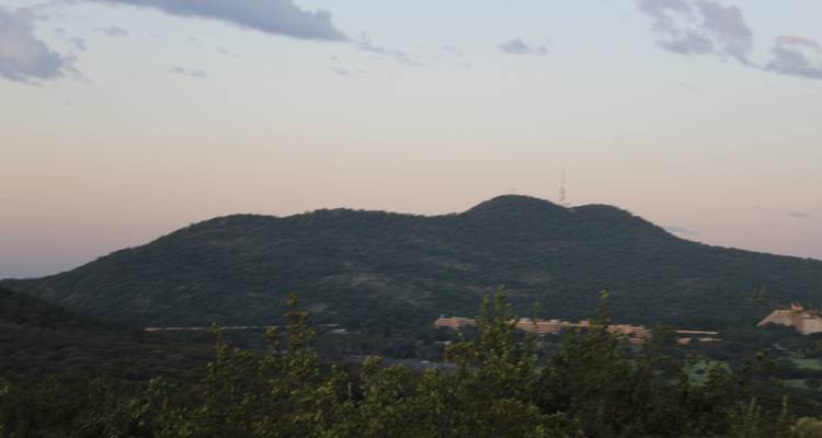 Safari de 4 días a Pilanesberg - Timeline Travel DMC 4