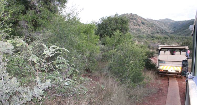 Safari de 4 días a Pilanesberg - Timeline Travel DMC 7