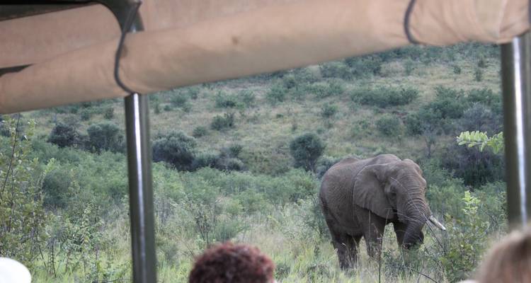 Safari de 4 días a Pilanesberg - Timeline Travel DMC 8