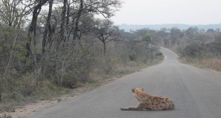 Circuit du parc national Kruger et de la route des panoramas - 4 jours - Timeline Travel DMC 3