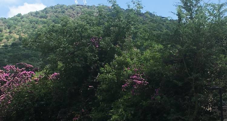 2 Day | Johannesburg to Pilanesberg Nature Reserve - Timeline Travel DMC 2