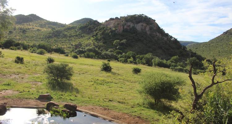 2 Day | Johannesburg to Pilanesberg Nature Reserve - Timeline Travel DMC 6