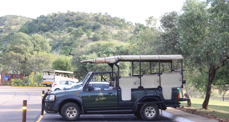 2 Day | Johannesburg to Pilanesberg Nature Reserve - Timeline Travel DMC 8