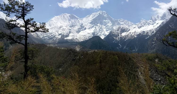 Combinación del circuito del Manaslu con el valle del Tsum - Visit Himalaya Treks Pvt. Ltd 9