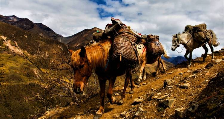 Royal Highland Festival-Witness The Dance of The Nomads - Bhutan Best Inbound Tour 1