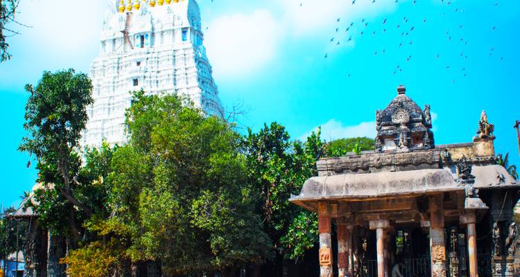 12 jours d'Excursion historique dans les temples de l'Inde du sud - Travel Con 2