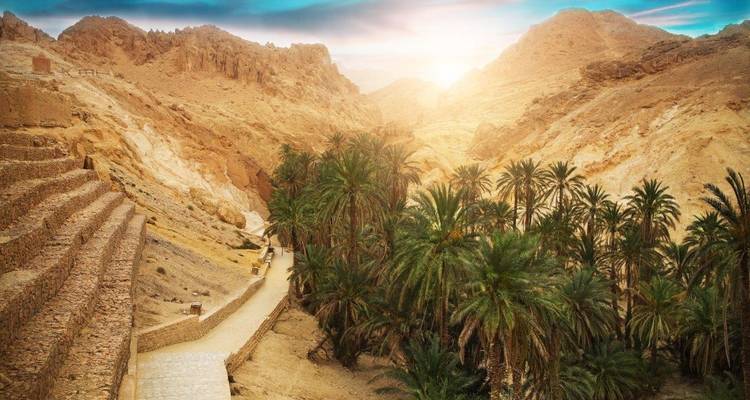 Del continente a la isla, excursión en grupo reducido - Tunisie Voyages 4