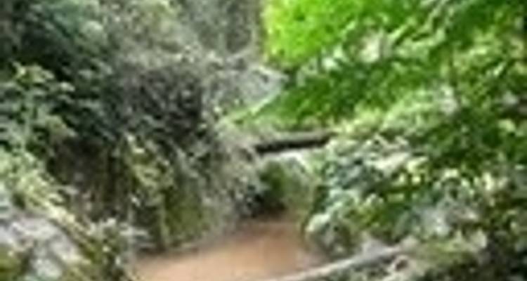 Colinas de Kanchanaburi - SpiceRoads Cycling 6
