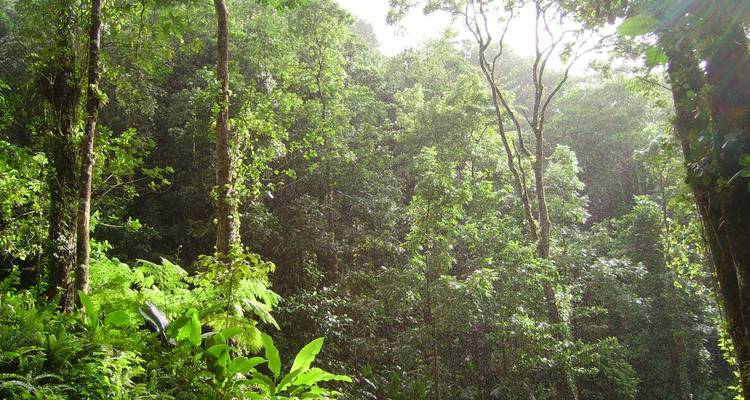 Colinas de Kanchanaburi - SpiceRoads Cycling 3