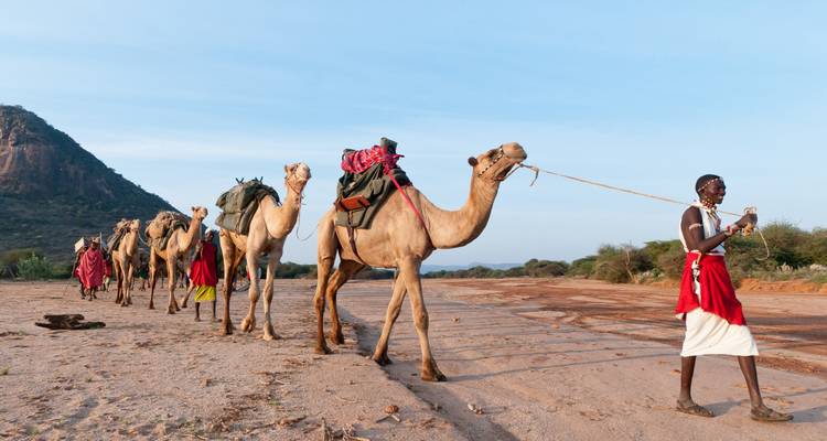 06 días de safari en Albergue en Kenia a Samburu - Nakuru y Masai Mara - Exciting Africa Holidays 8