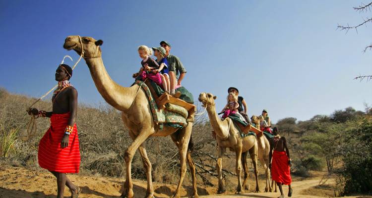 06 días de safari en Albergue en Kenia a Samburu - Nakuru y Masai Mara - Exciting Africa Holidays 9