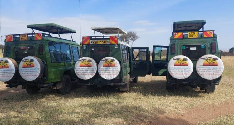 Tres vehículos de safari estacionados en un campo.
