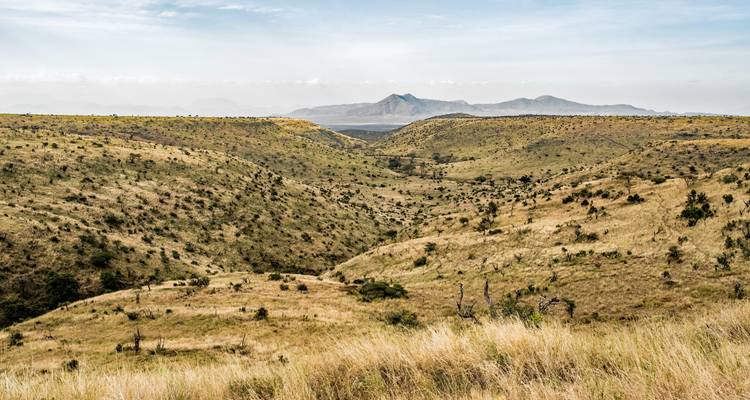 7 Days Taylor -Made Kenya Luxury  Safari - Exciting Africa Holidays 10