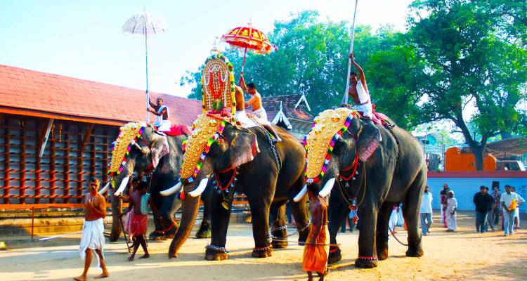 10 Days South India Tour With Goa From Chennai (ALL INCLUSIVE) - Travel Con 7