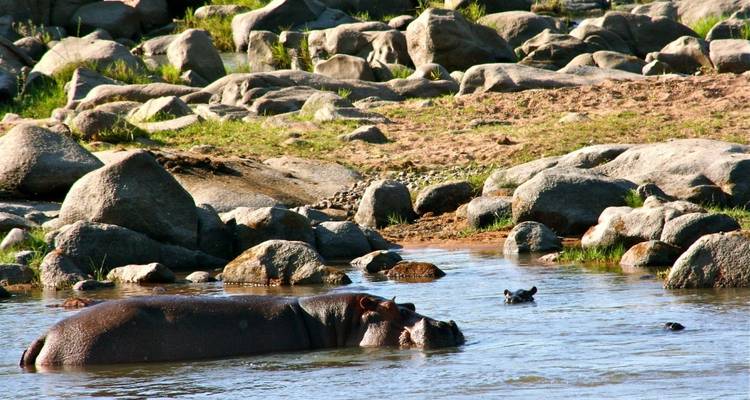 Forfait de 7 jours pour le safari Selous, Mikumi et Ruaha - Adventure Makers Tanzania 6