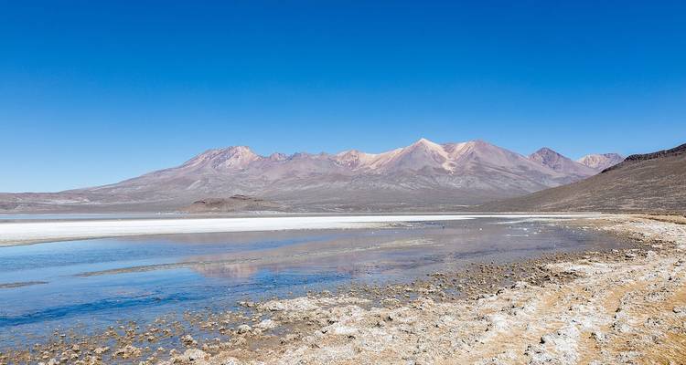 5 días Arequipa y Cañón del Colca y Piedra de Sillar y Laguna de Salinas - PVTravels 4