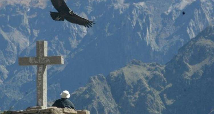 5 días Arequipa y Cañón del Colca y Piedra de Sillar y Laguna de Salinas - PVTravels 3
