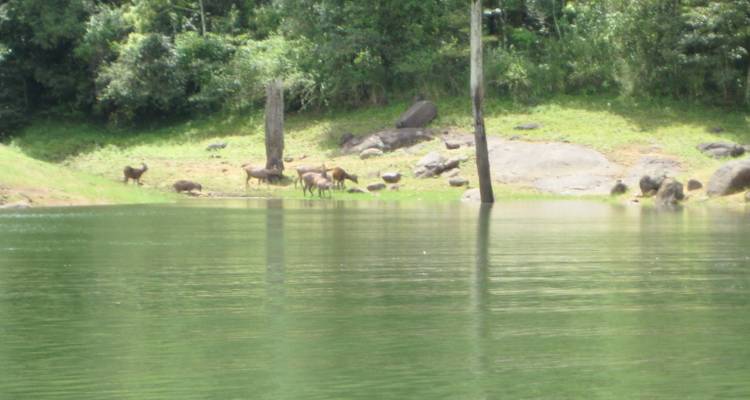 11 jours de rêve au Tamilnadu et au Kerala au départ de Chennai - TOUT COMPRIS - Travel Con 10