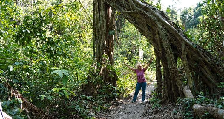 Group Tour - Cat Ba Trekking & Kayaking 3 days 2 nights - Mr Linh's Adventures 4
