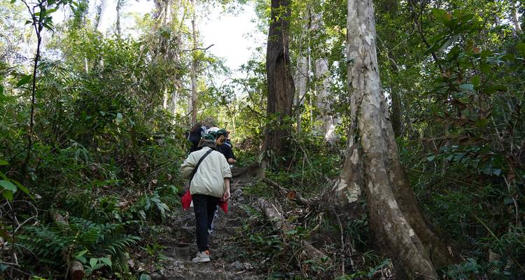 Group Tour - Cat Ba Trekking & Kayaking 3 days 2 nights - Mr Linh's Adventures 6