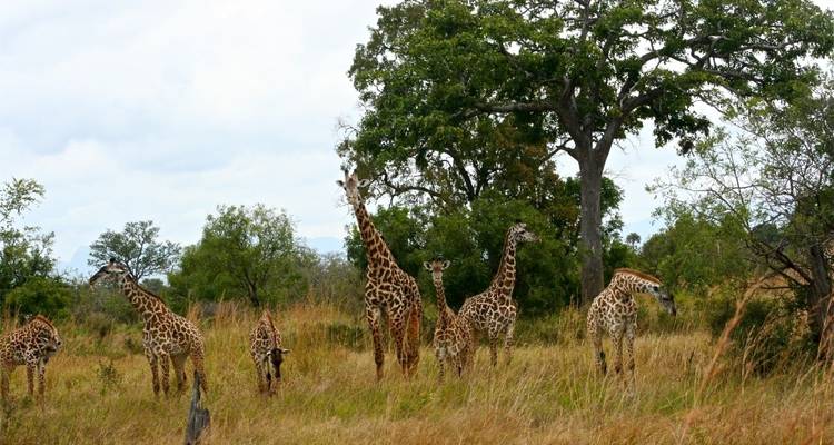 5 días de Esplendor Circultural del sur - Adventure Makers Tanzania 3