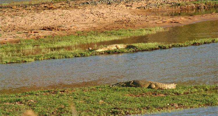 5 días de Esplendor Circultural del sur - Adventure Makers Tanzania 7