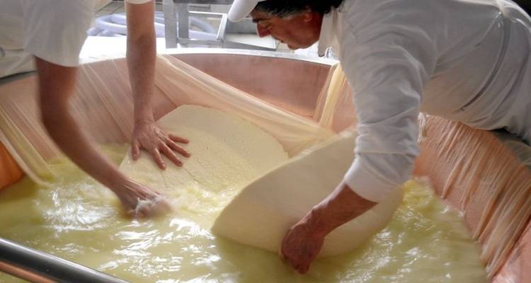 Twee mensen die met kaas werken in een zuivelfabriek.