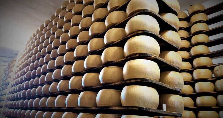 Rijen verouderende kaaswielen gestapeld op planken.