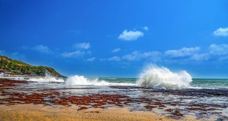 Excursión a Goa - Agora Voyages OPC Pvt Ltd 2