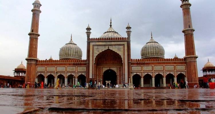 El lujoso Triángulo de Oro de la India incluido el safari de avistamiento de leopardos y amanecer en el Taj Mahal - Swastik India Journeys 7