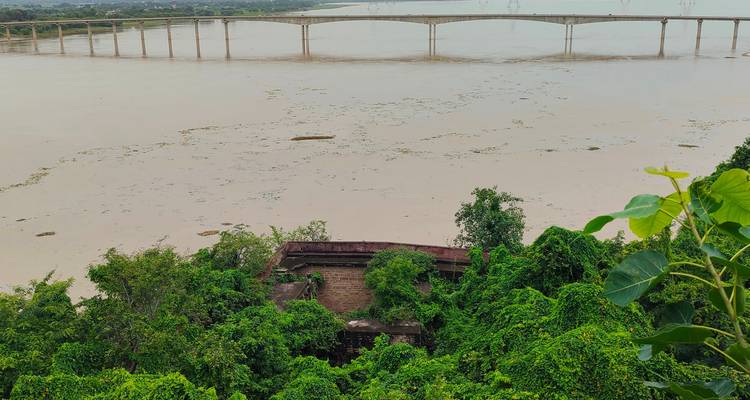 Brug over een brede rivier met dichte begroeiing.