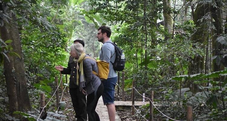 Kleine Gruppe geht einen schmalen, von Seilen gesäumten Waldweg entlang und beobachtet die üppige Vegetation.