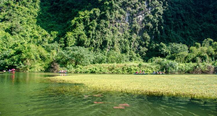 Calm river section with underwater vegetation and steep forested cliff in background