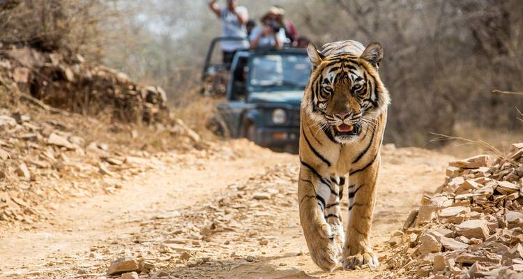 Golden Triangle Tour with Ranthambore & Varanasi Tour - Agra Taj Visit 2