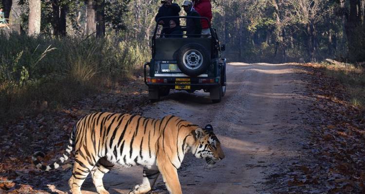 Golden Triangle Tour with Ranthambore & Varanasi Tour - Agra Taj Visit 7