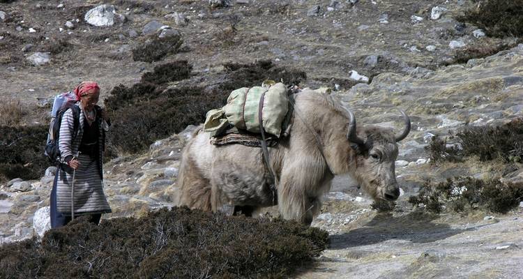 Everest View Short Trek - 8 Days in Nepal - Himalayan Planet Adventures 2