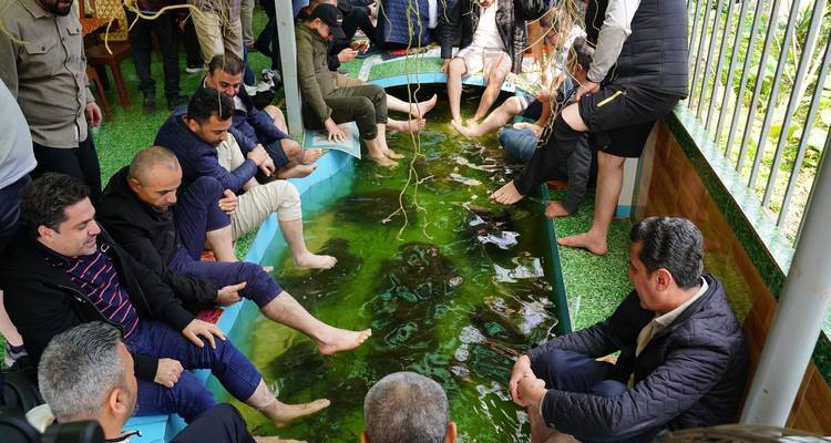 Un gran grupo de personas se sienta con los pies en una piscina de spa de peces llena de agua verde.